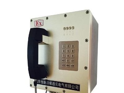 HR-8530寻呼话筒图2